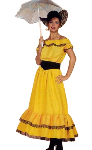1870 dame geel - Willaert, verkleedkledij, carnavalkledij, carnavaloutfit, feestkledij, historisch, terug in de tijd, 1800, 1900, van oermens tot baron en barones